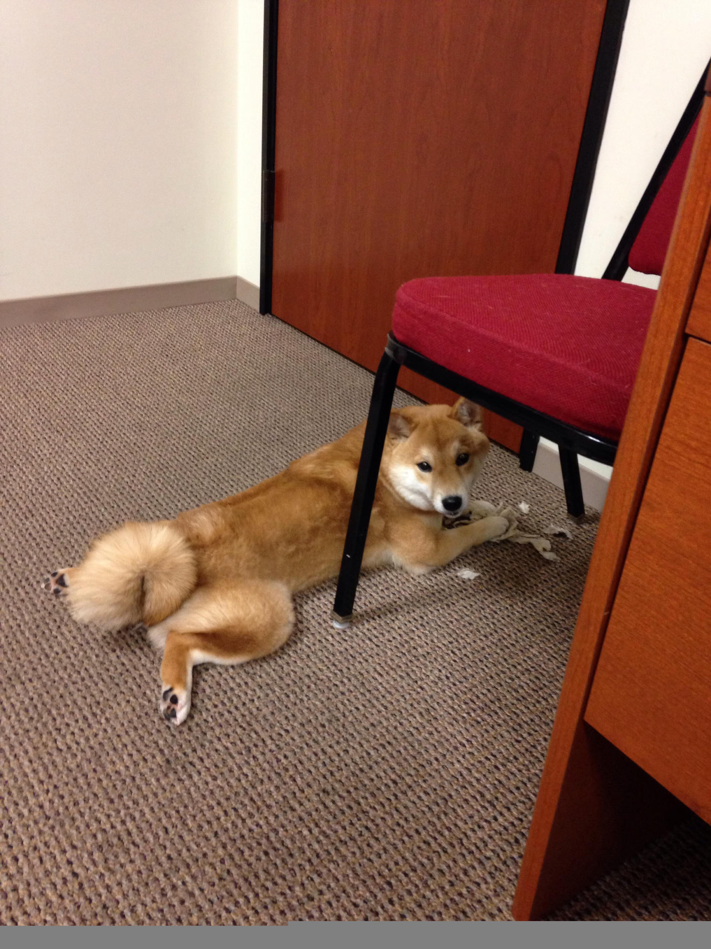 九游APP官网-_运动员抗压训练：突破心理桎梏的秘密武器_，运动员如何缓解压力