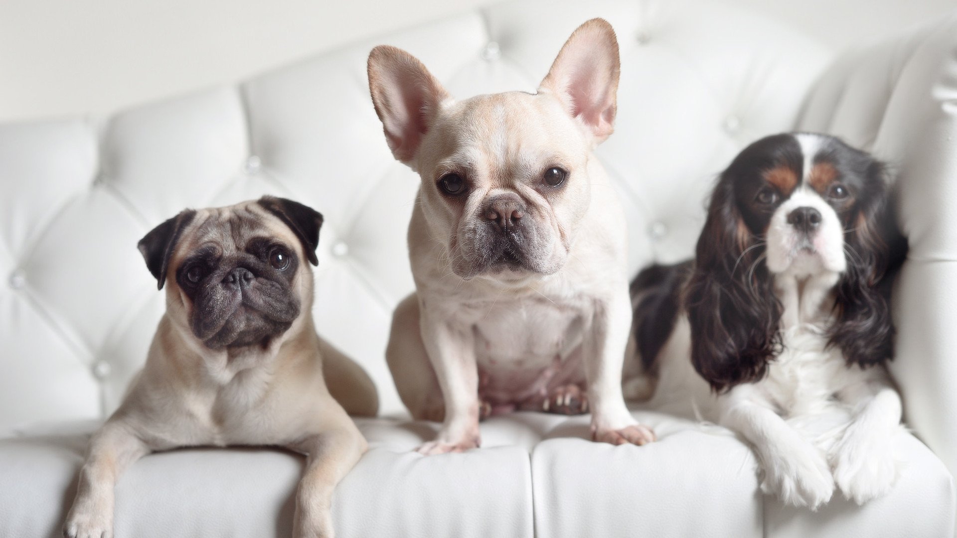 九游官网下载电脑版-中国足球明星海外发展最新动态，足球 明星 中国